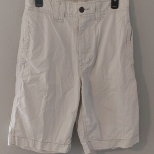 American Eagle Outfitters Men's Long Length Shorts